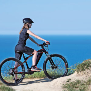 mountain bike elettrica